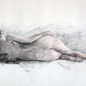 modelo acostada, arte al carboncillo 2024